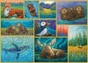 Collage of various animal illustrations in a stylized, colorful art style, including otters, moose, bears, fox, puffin and whales