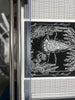 Paper Print with white borders being cut down 