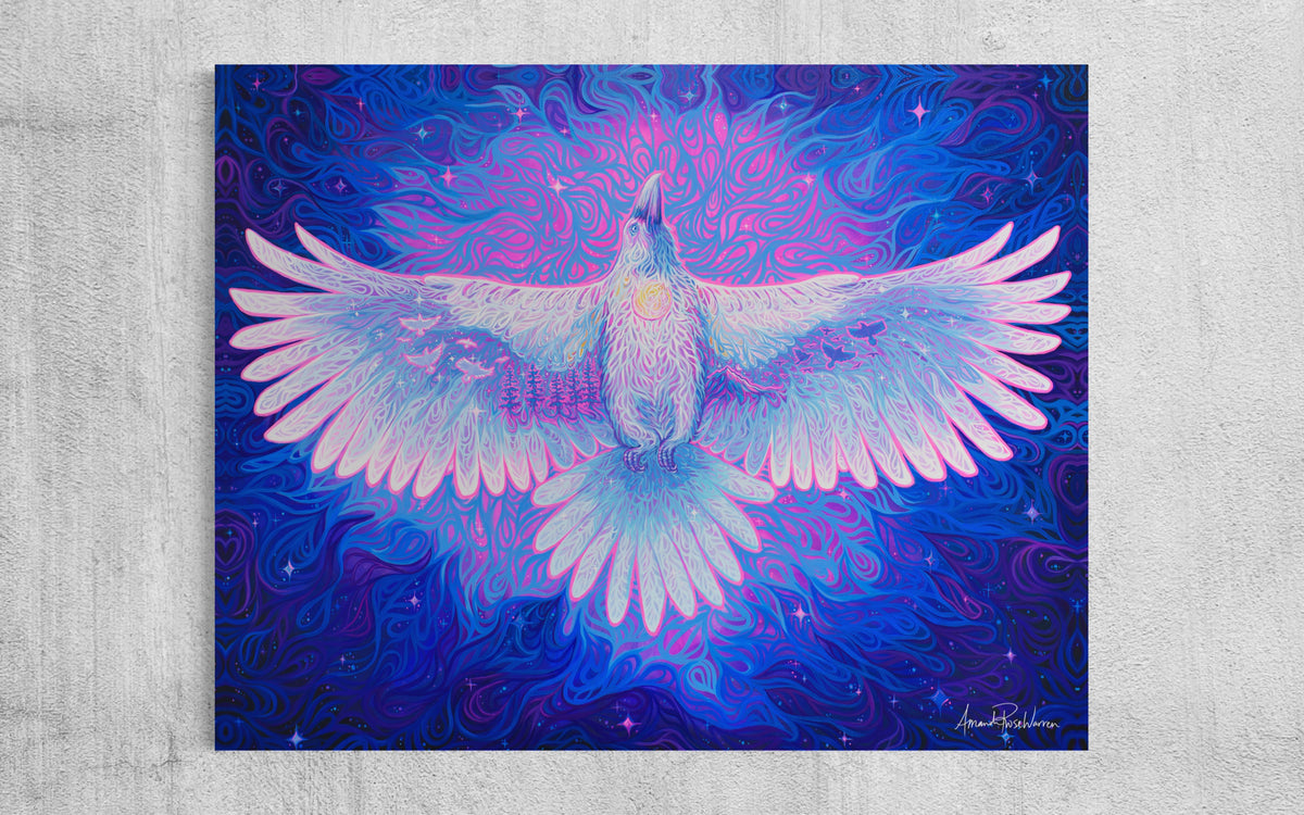 White Raven, Arctic Wings of Change Fine Art Print| Amanda Rose