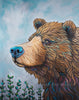 Alaskan Brown Bear with a pop of color in his fur 