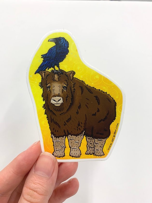 Holding the Raven sitting on the baby musk ox's head sticker