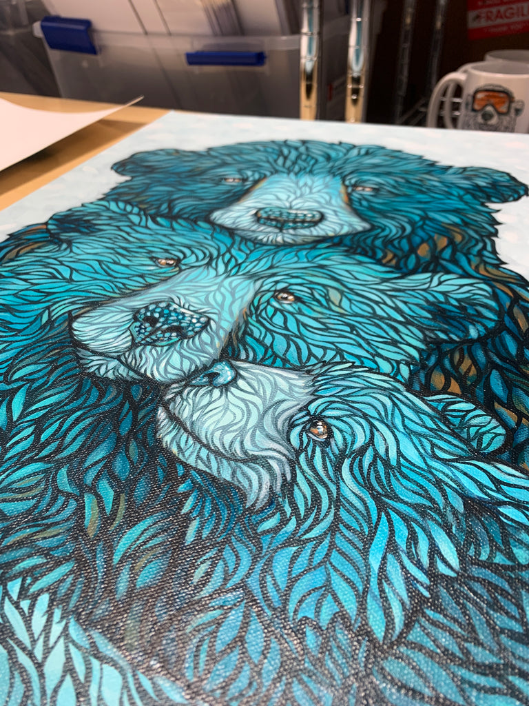 angled close up of the bear families warm embrace 