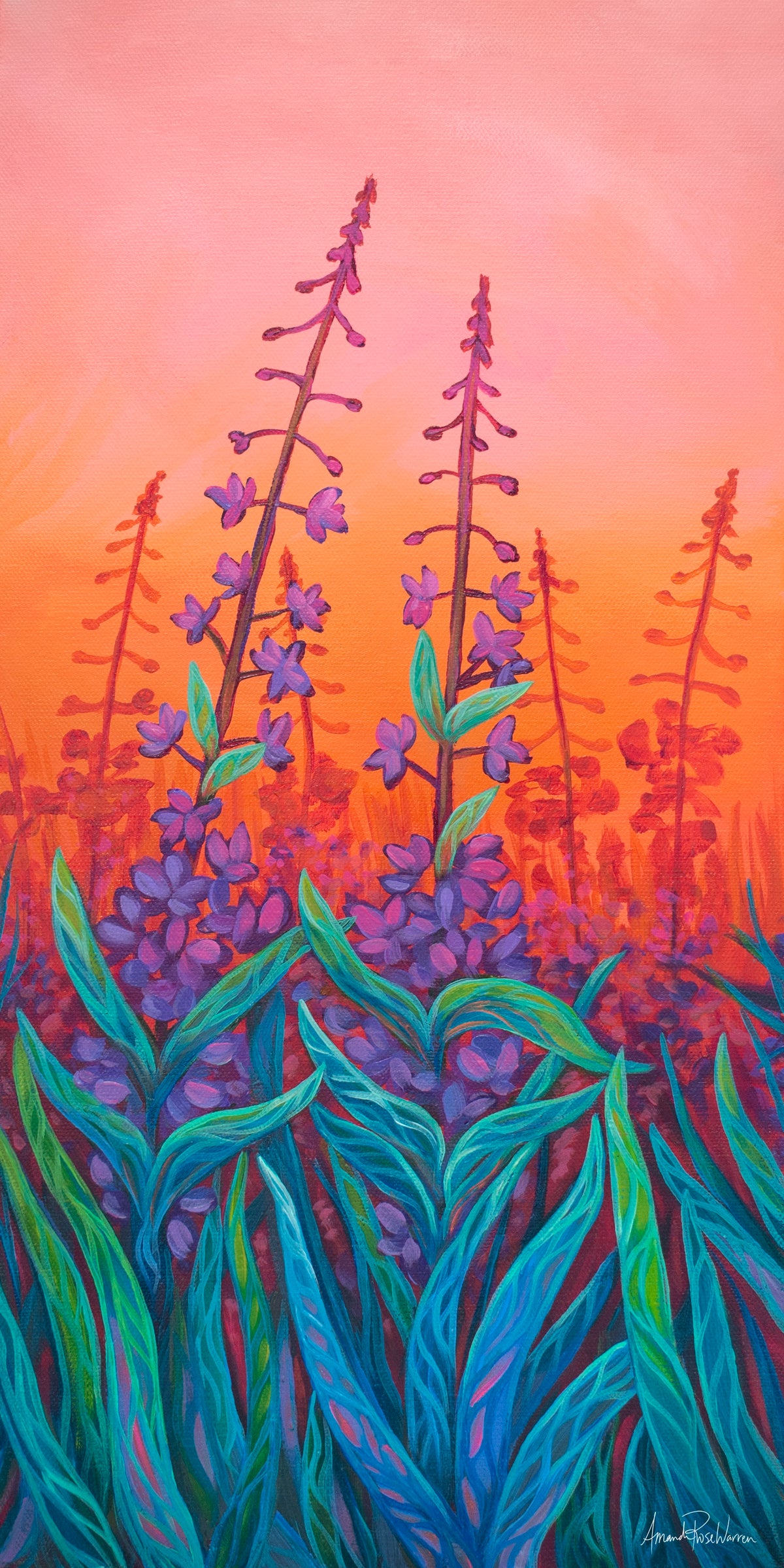 Dusk Fireweed Fine Art Print| Amanda Rose Warren– Amanda Rose Warren LLC