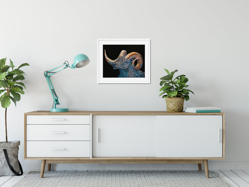 Framed Alaskan Ram with icy blue fur and warm tones in the full curl horns with a black background hung on an office wall
